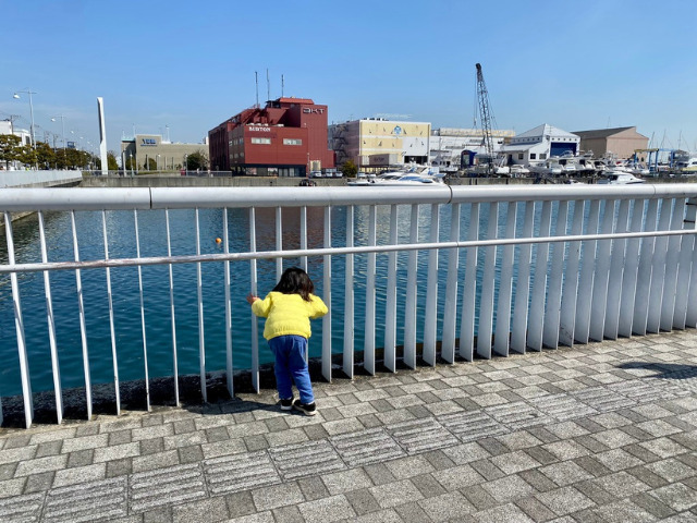 鳥浜駅　道