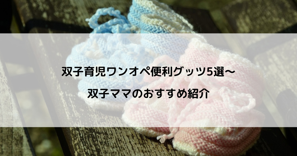 節約 【多胎育児、年子育児におすすめ】キャリーワゴン